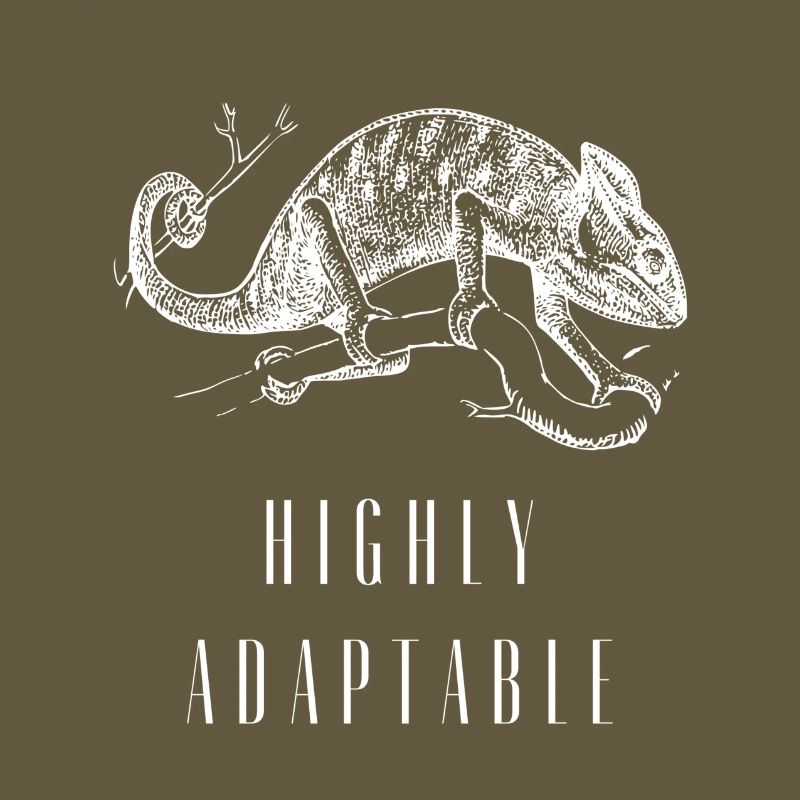 Highly Adaptable Chameleon Growth Mindset