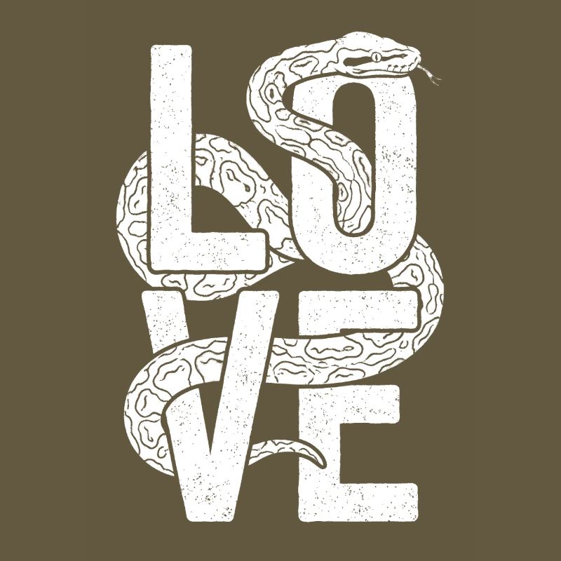 Les serpents rois Python ADORENT les pythons de terrarium