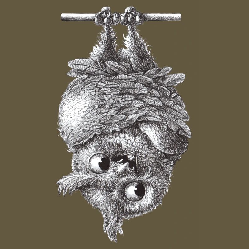 Vampir Eule - Dracula Eule