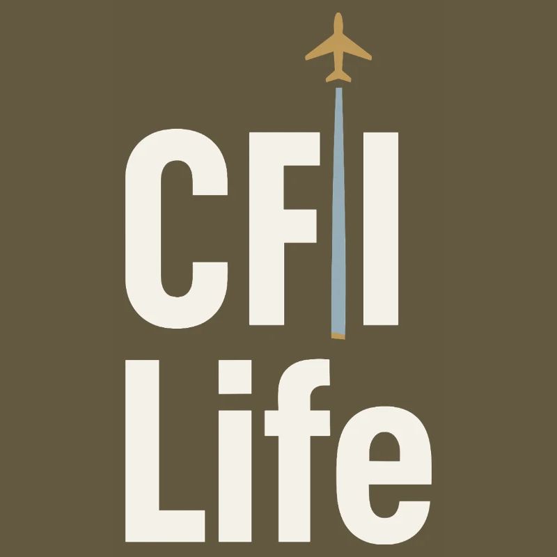 Flight Instructor Cfi Pilot Aviation Instructor