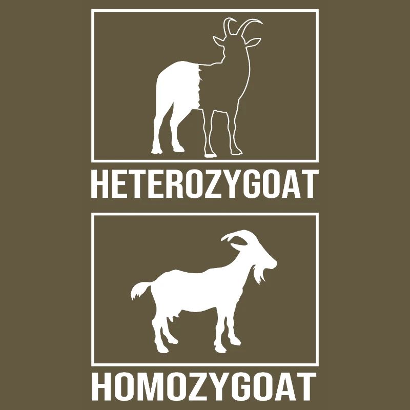Molecule Structural Formula