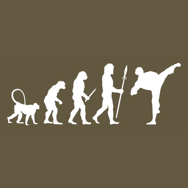 Karate Evolution