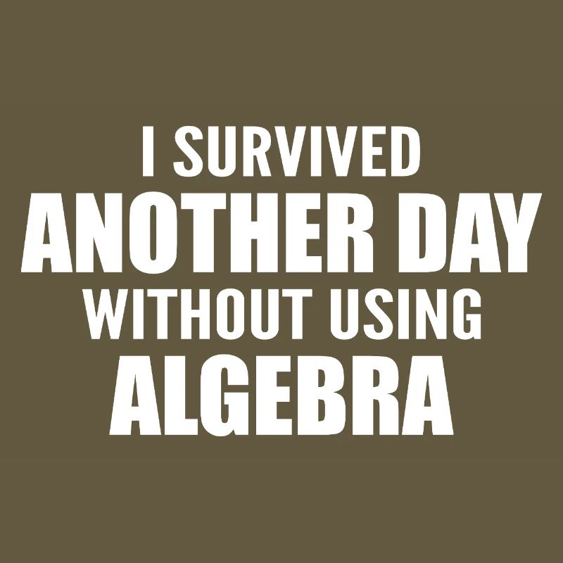 I survived without doing algebra today