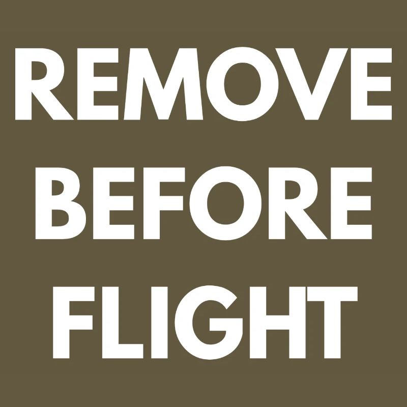 REMOVE BEFORE FLIGHT 