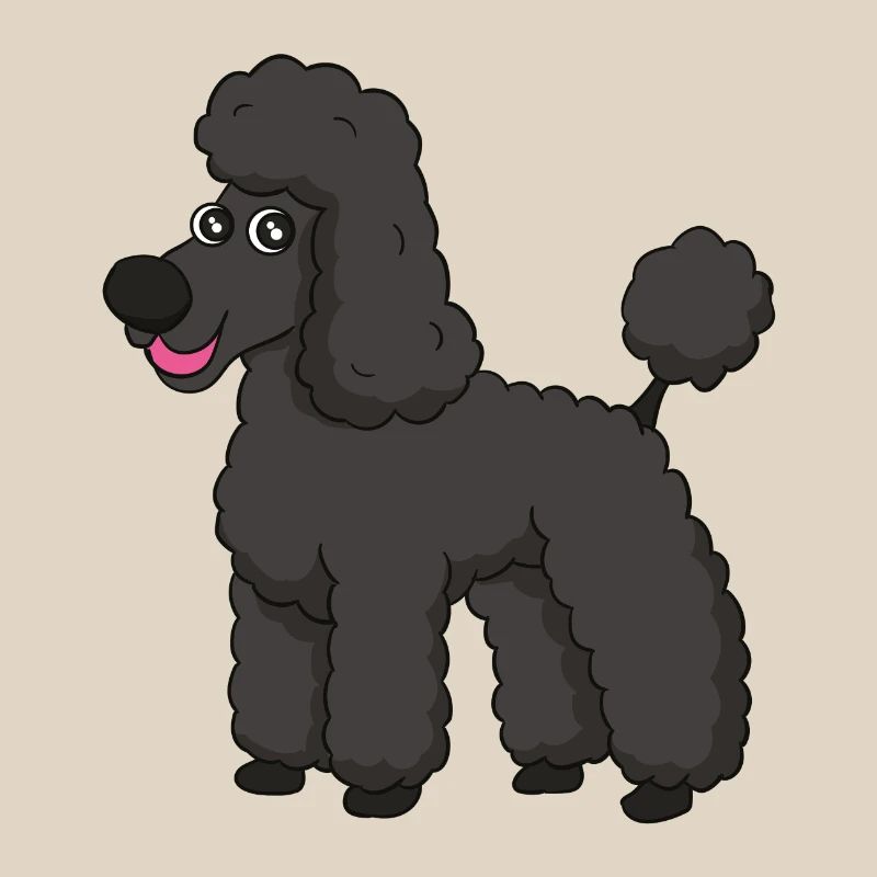 caniche doux