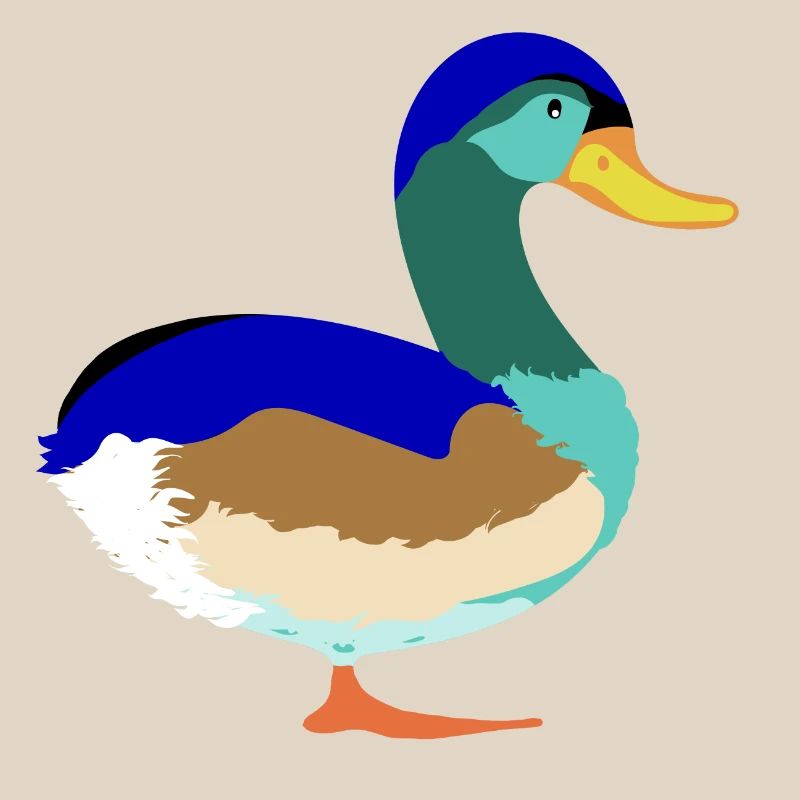 Pretty Colorful Mallard