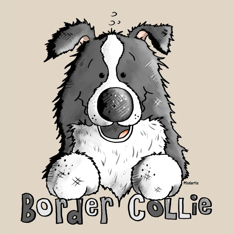 Petit Boder Collie - Chien de Berger