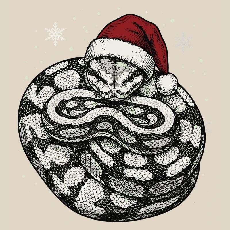 Königspython Weihnachten Ball Python Schlange