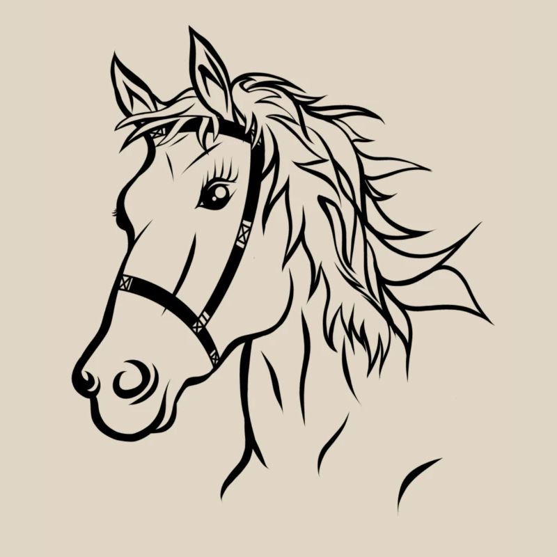 Pferdekopf Pferd Reiten Geschenk