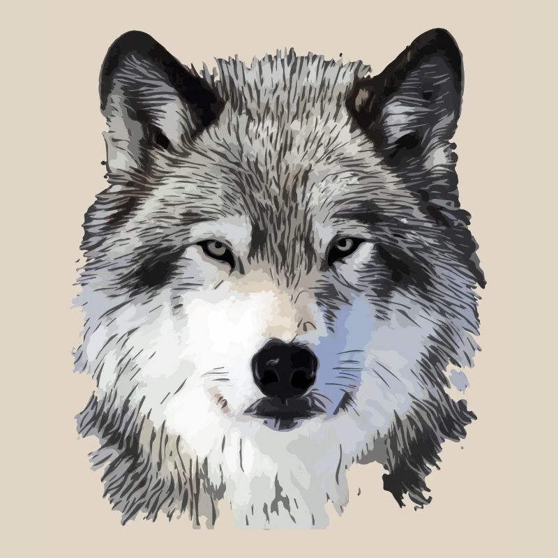 Der Wolf