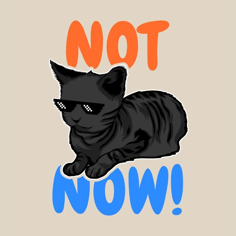 Drôle de chat