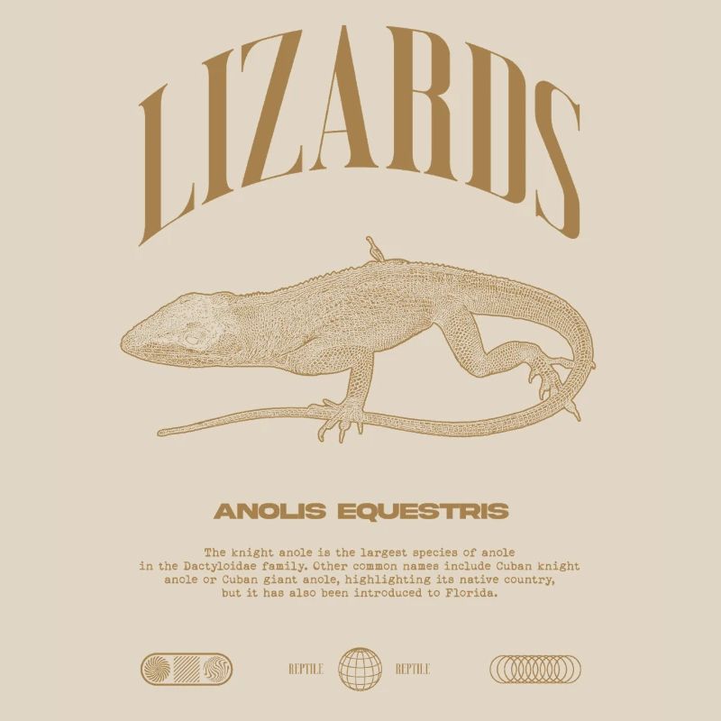 Kubanischer Ritter Anole Reptilienhalter Eidechse