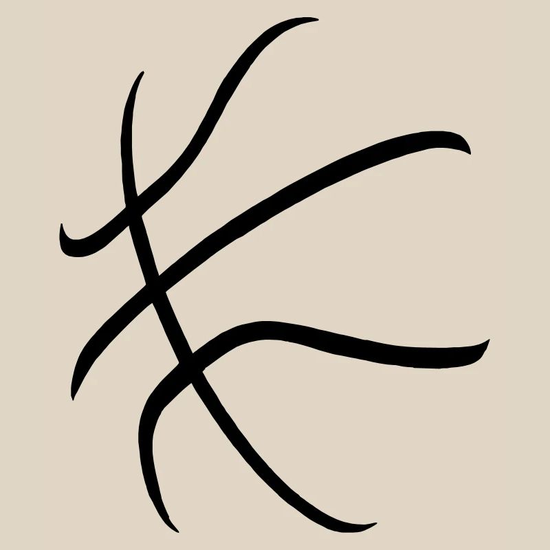 Basket-ball
