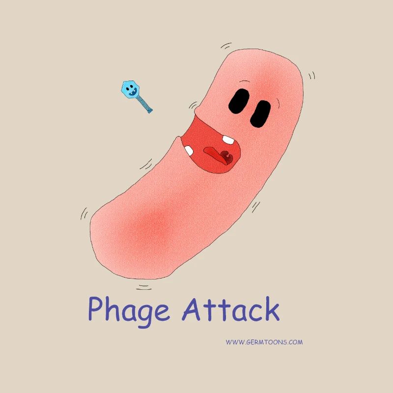 Phage Attack - Bacteria & Bacteriophage
