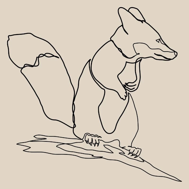 Fox Squirrel Squirrel Fox