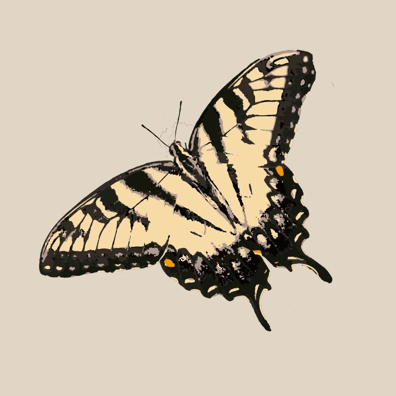 Illustration de papillon citron