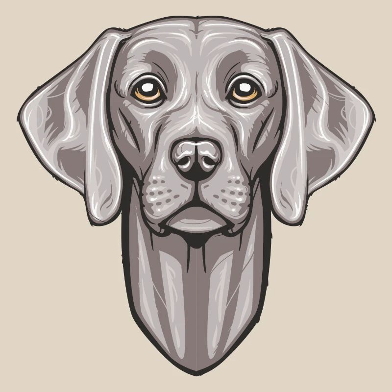 Weimaraner