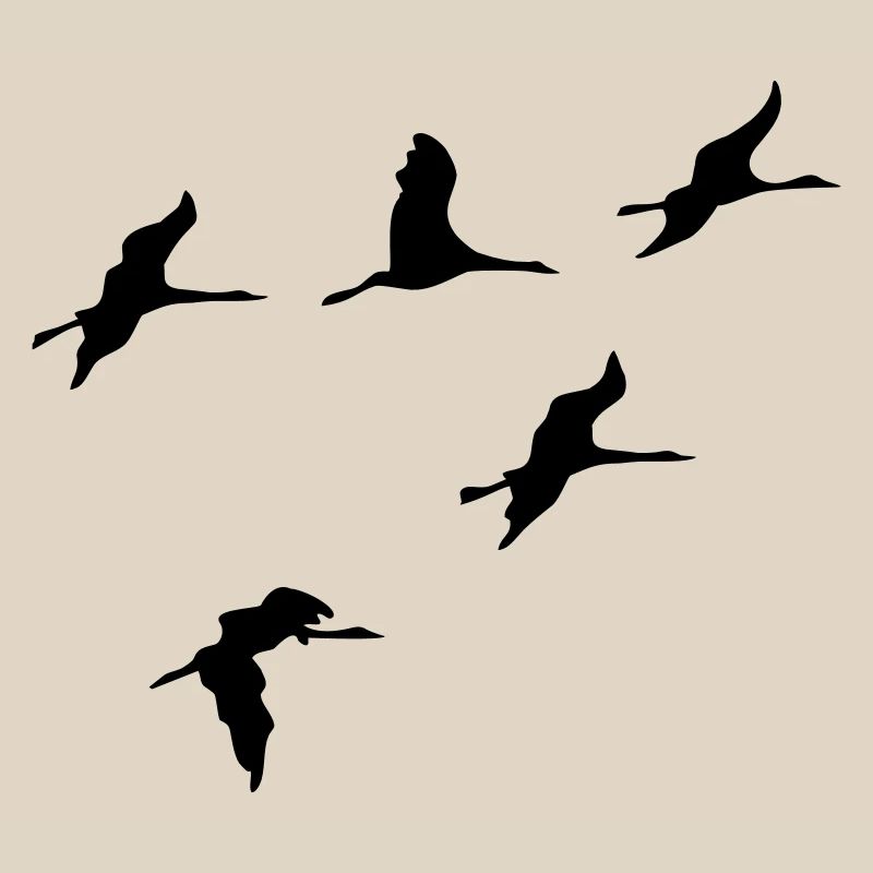 oiseau