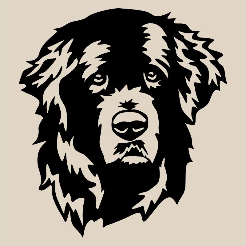 Newfoundland head