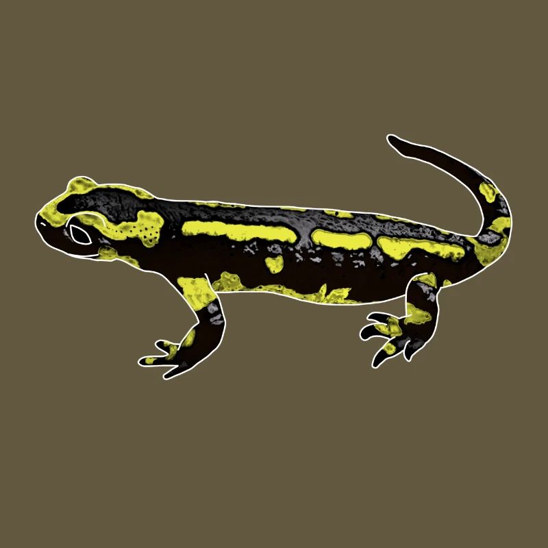 Fire salamander