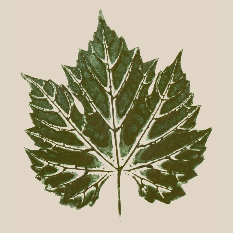Grape leaf GREEN - leaf print - WINER & GARDEN