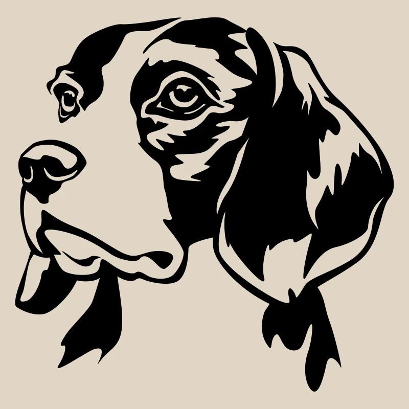 Beagle head