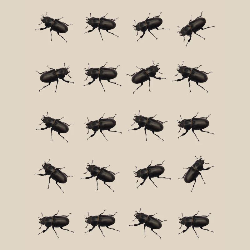 Stag Pattern