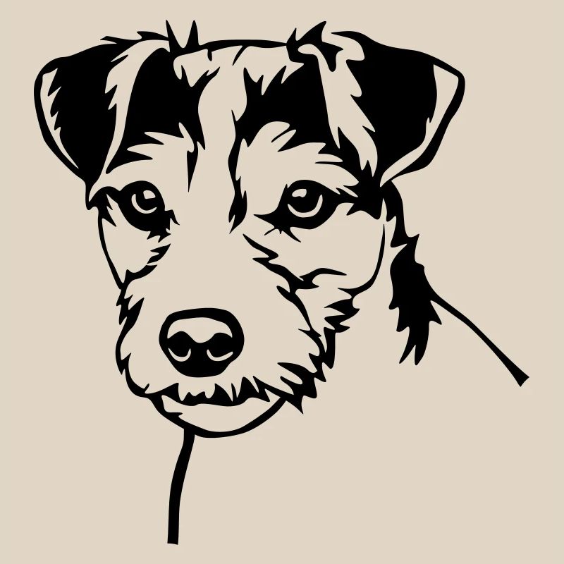 Parson Russell Terrier Kopf