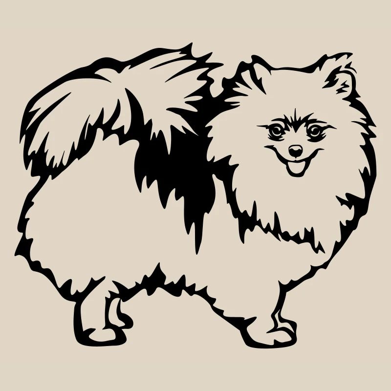 Spitz nain