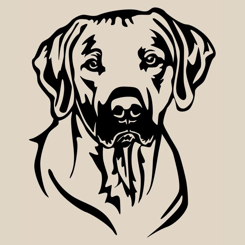 Rhodesian Ridgeback Head