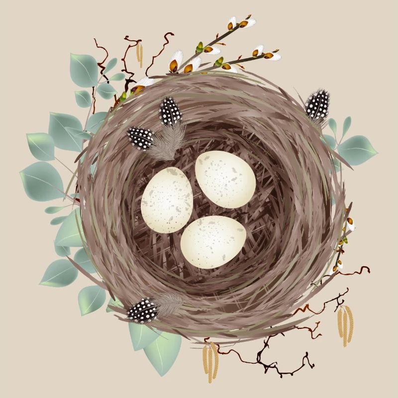 Vogelnest oder Osternest mit drei Eier und Federn