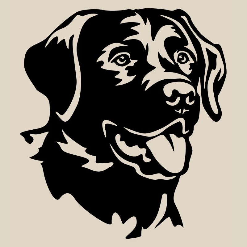 Labrador Head