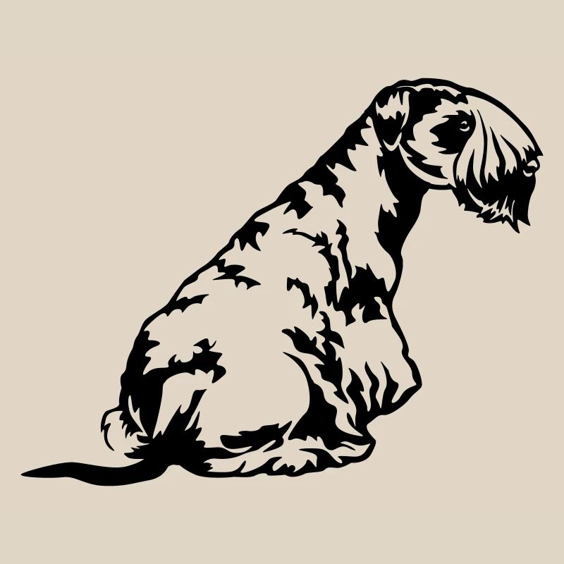 Cesky Terrier