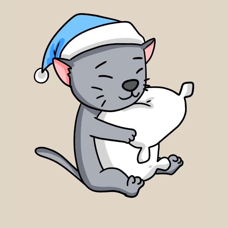 Cat cat breed Korat