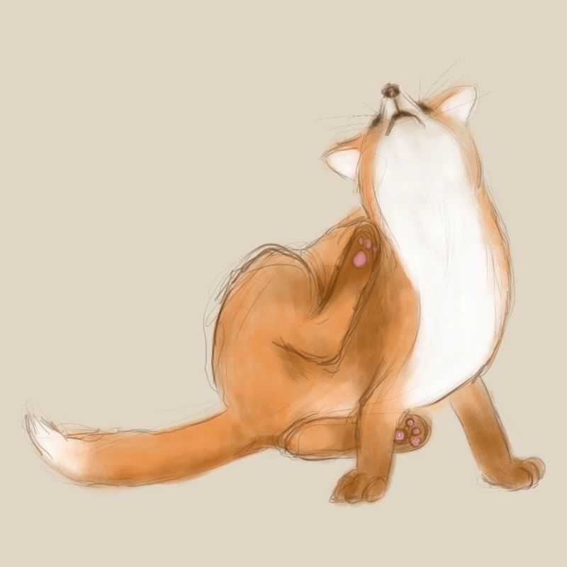 Scratching fox cute animal drawing