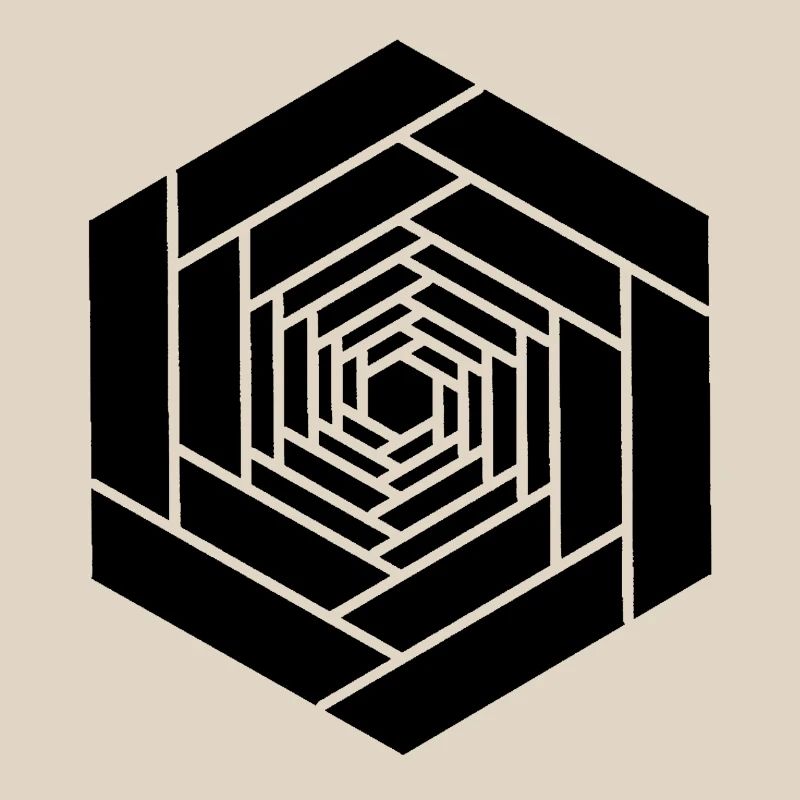 Hexagone infini noir fleur