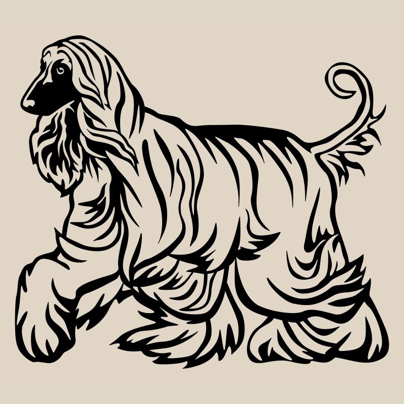 Afghan