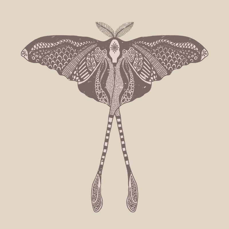 Chinese Moon Moth - Luna Moon Moth