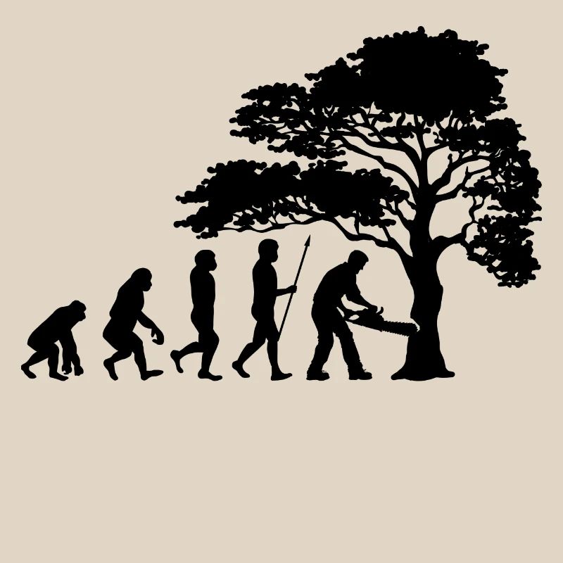 Lumberjack Tree Evolution Saw Sawdust