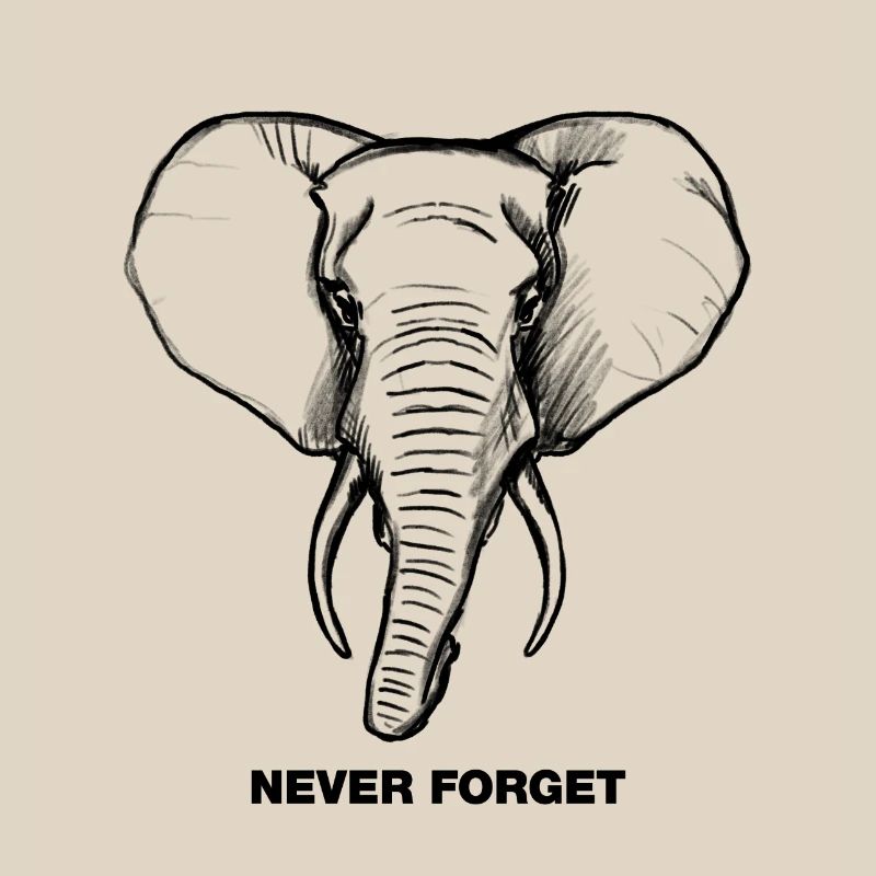 Elephant - Never forget