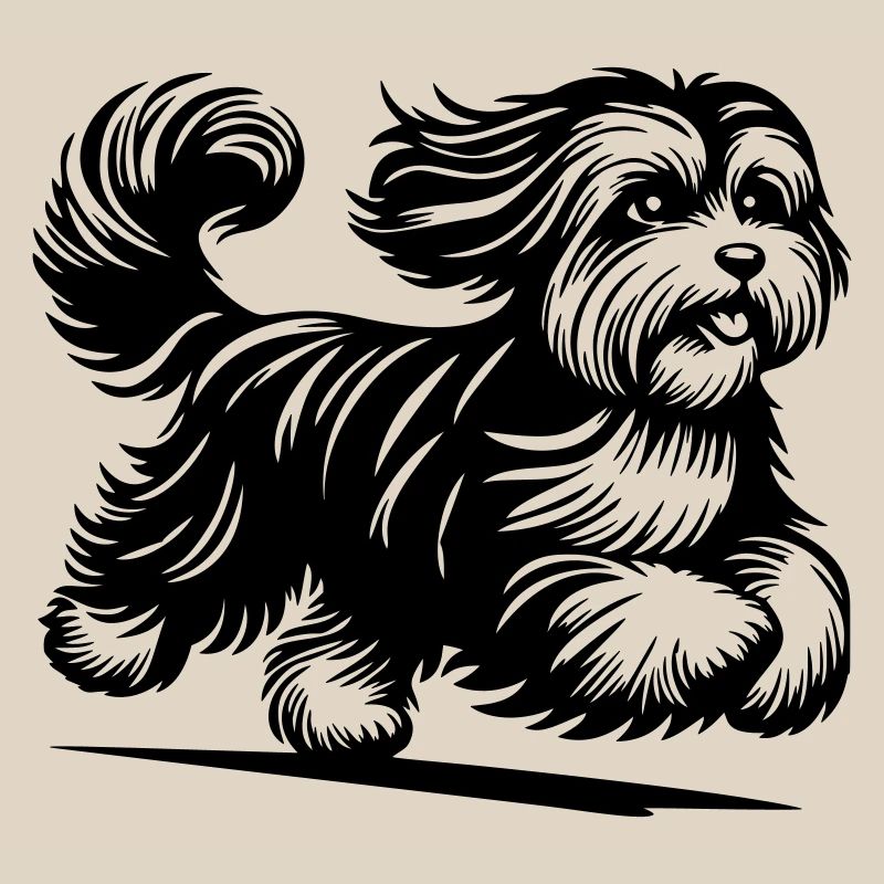 Havanese