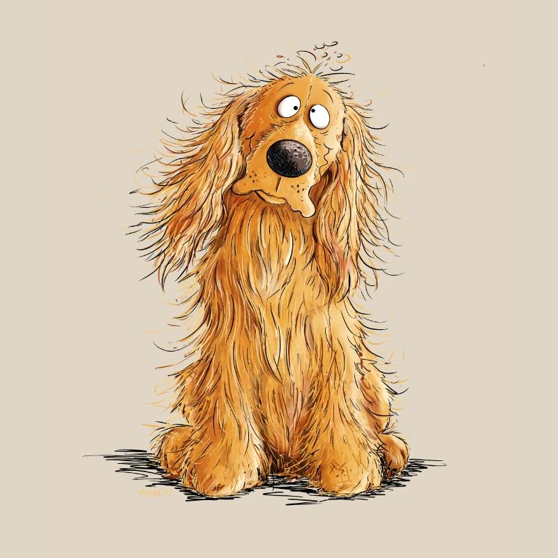 Cocker Spaniel heureux