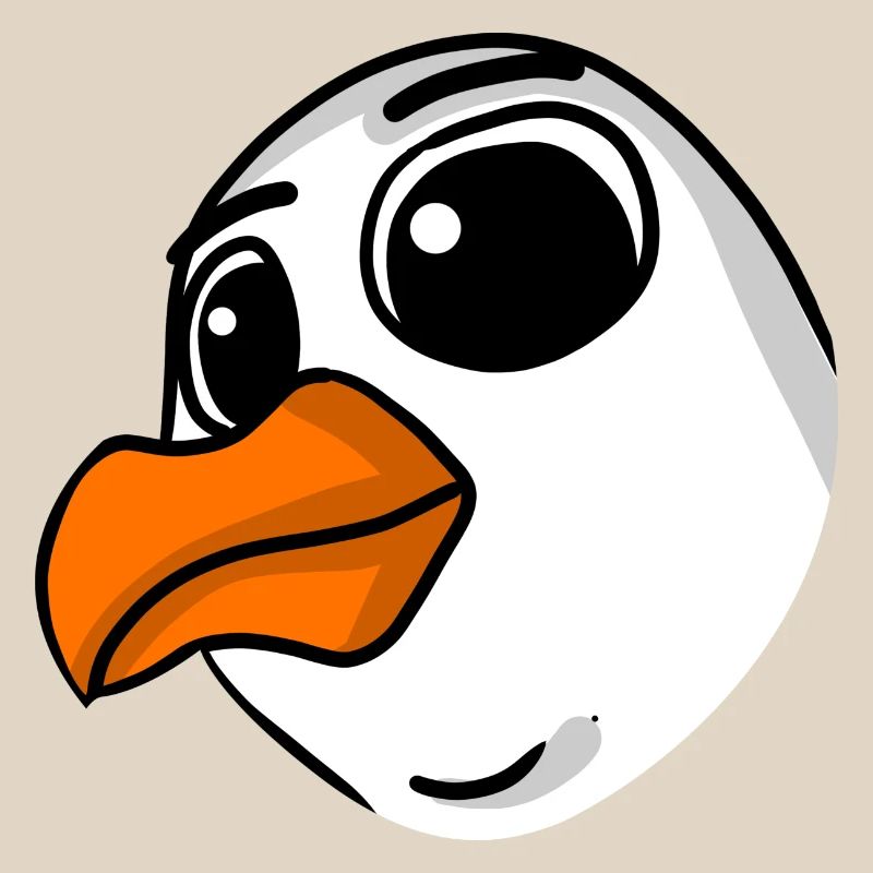 Möwe Kopf