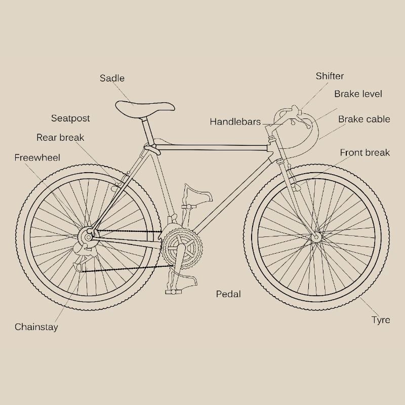 Design needs image