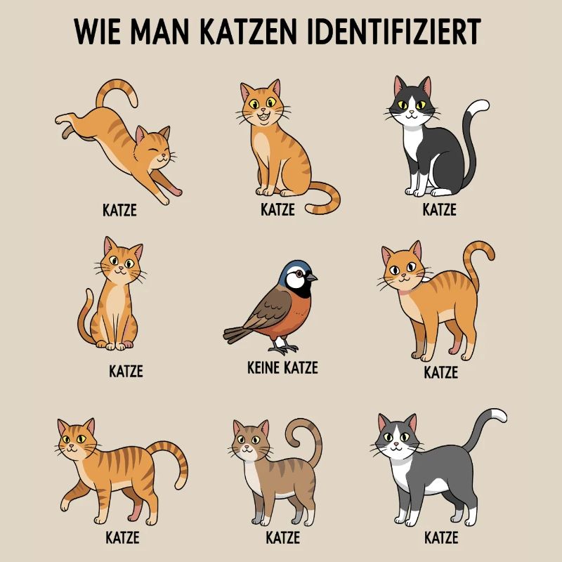 Guide d’identification des chats