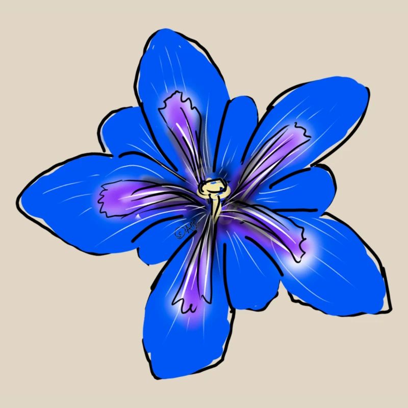 Gentiane, Fleur