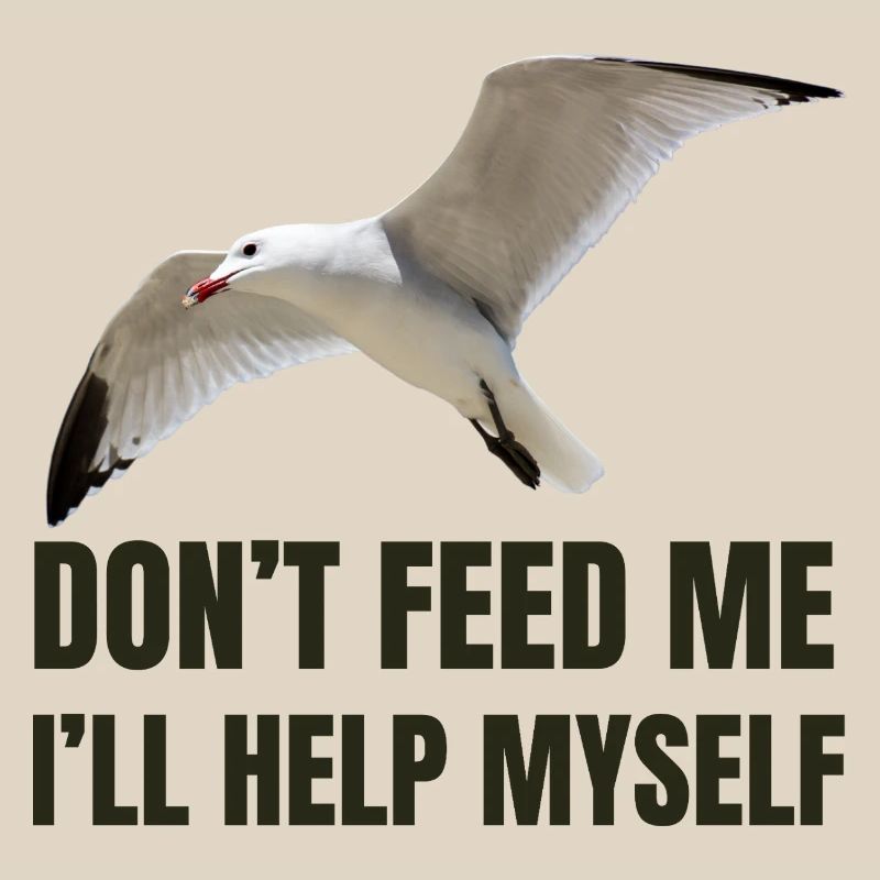 Möwe mit mutigem Statement