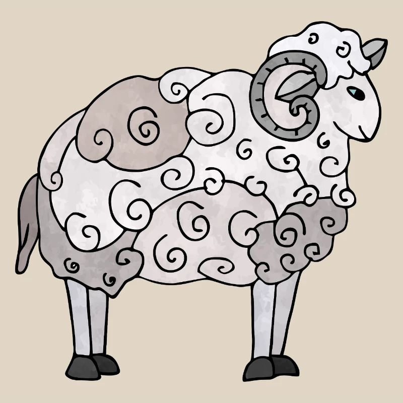 Widder