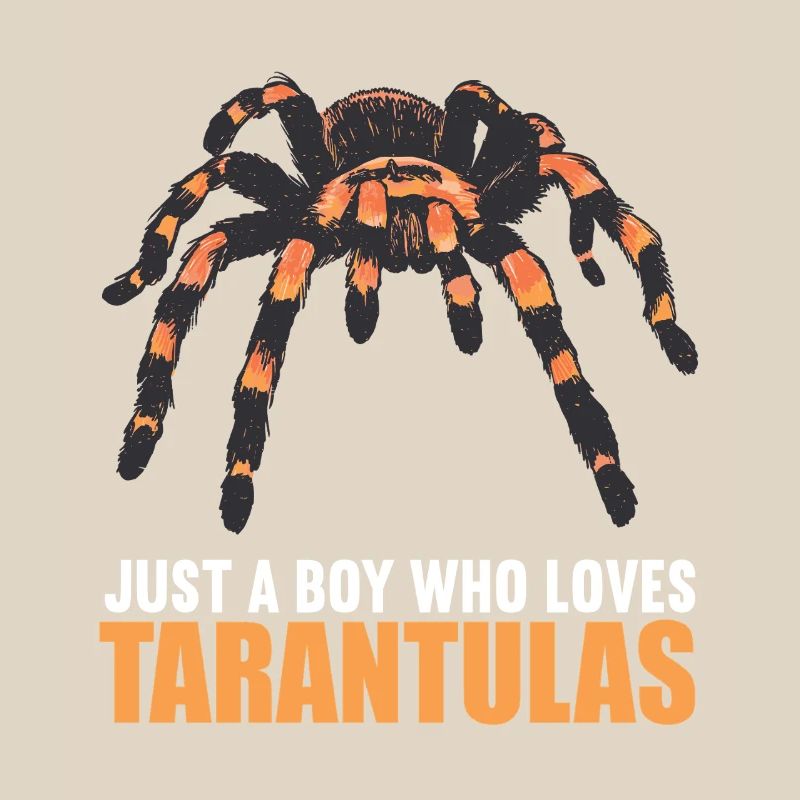 Tarantulas Tarantula