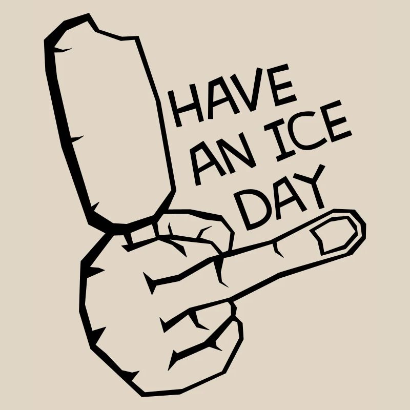HAV E NICE DAY
